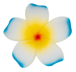 Single Plumeria Clip: Blue