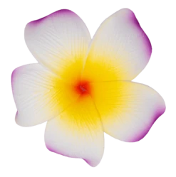 Single Plumeria Clip: Purple