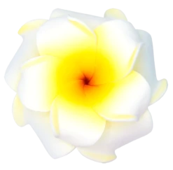 Small Double Plumeria Clip: White