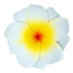 Medium Double Plumeria Clip: White