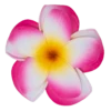 Large Double Plumeria Clip: Pink