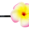 Plumeria Flower Bobby Pins: Pink
