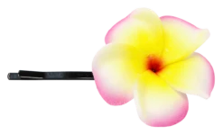 Plumeria Flower Bobby Pins: Pink