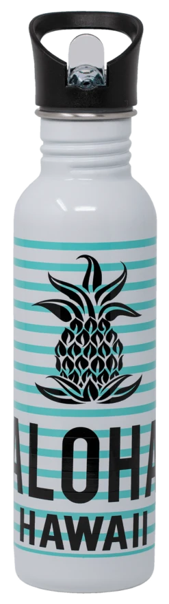 Stainless Steel Hydration Bottle 25oz: Aloha Stripe