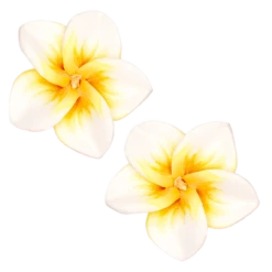 Medium Plumeria Stud Earrings: White