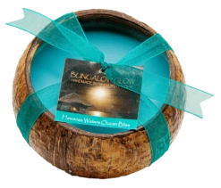 Medium Coconut Shell Soy Candle: Hawaiian Waters Ocean Bliss