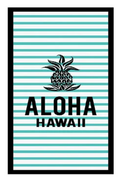 Large Velour Beach Towel: Aloha Stripe