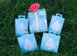 Moana Ipo Hearts Of Rose Gold - Specialty Gift Set