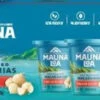 Mauna Loa Dry Roasted Macadamia Nuts - Gift Set Of Three