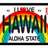 Large Velour Beach Towel: Hawaii License Plate