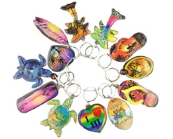 Lucite Keyring 12 Pack: Hawaii Assortment