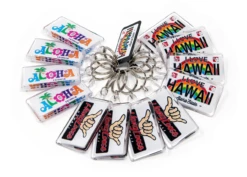 Lucite Keyring 12 Pack: Hawaii License Designs